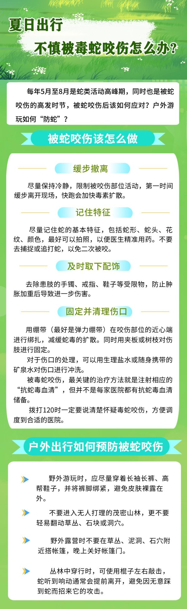最好的配资官网 夏日出行, 不慎被毒蛇咬伤怎么办?