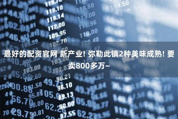 最好的配资官网 新产业! 弥勒此镇2种美味成熟! 要卖800多万~