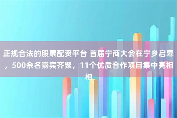 正规合法的股票配资平台 首届宁商大会在宁乡启幕，500余名嘉宾齐聚，11个优质合作项目集中亮相
