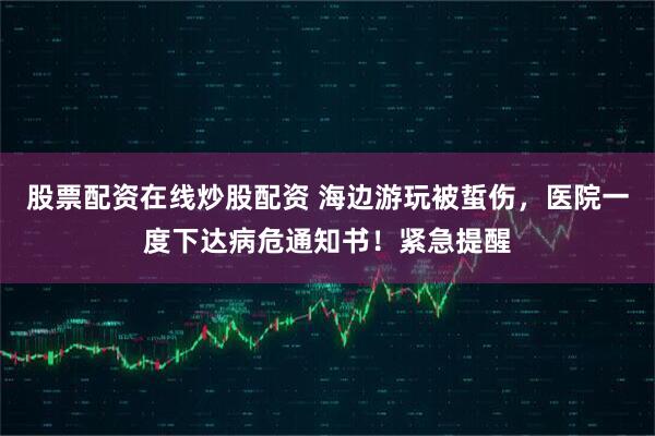 股票配资在线炒股配资 海边游玩被蜇伤，医院一度下达病危通知书！紧急提醒